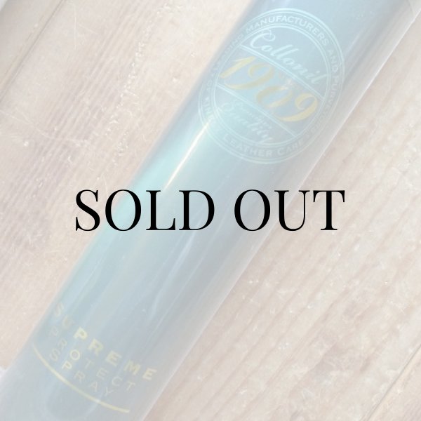 画像3: 1909シュプリーム プロテクト（Supreme  Protect） (3)