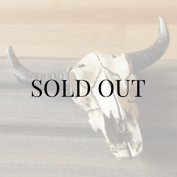 画像9: 樹脂製 『ウエスタン写真立て（Photp Frame）』 (9)